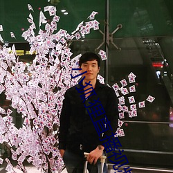 小狐狸直播视频