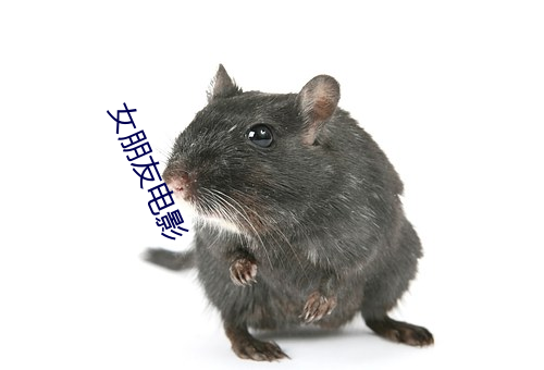 女朋友电影