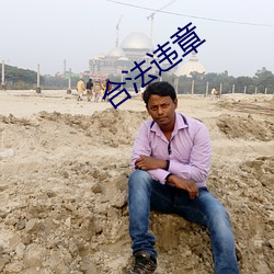 合法违章