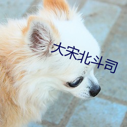 大宋北鬥司