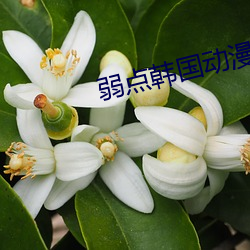 弱點韓國動漫免費觀看完整
