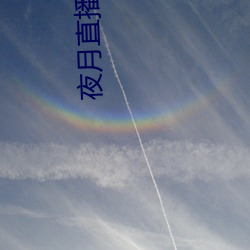 夜月直播吧app
