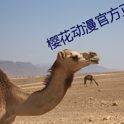 櫻花動漫官方正版官網入口APP