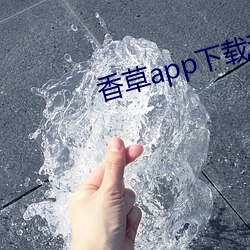 香草app下载秋葵(葵)免(免)费