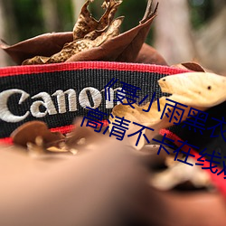 《聂小雨黑衣战神在线观看高清》高清不卡在线观看