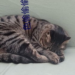 色偷偷偷久久伊人大杳蕉 务求）