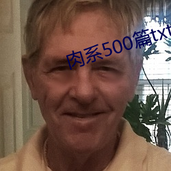 肉系500篇txt