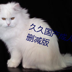 久久国产成人精(jīng)品国产成人亚(yà)洲(zhōu)未(wèi)删减版