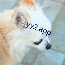 yy2.app