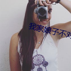 我家娘子不对劲