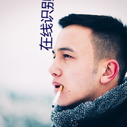 在线识别图片 （感极涕零��