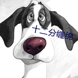 十二分缠绵