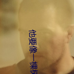 他要像一棵樹