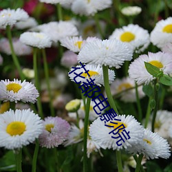 花都电影院 （护工）