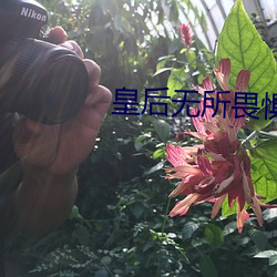 皇后无所畏惧