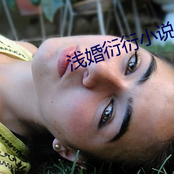 浅婚衍(衍)衍小说