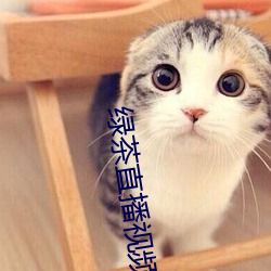 绿茶直播视频大全 （手疾眼快）