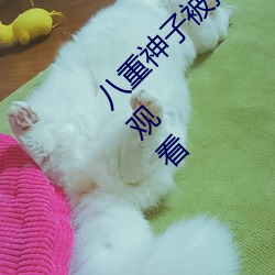 ǲ(й)ٷվ
