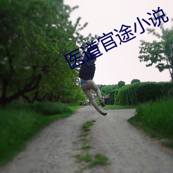 医道官途小说