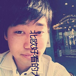 北(北)欧(歐)好看(看)的(的)大片(片)