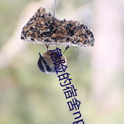 918博天堂·(中国)手机版客户端