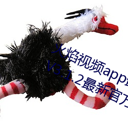 火焰视频app最新版下载2023免费版V3.1.2最新官方安卓免费版 （发现