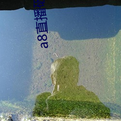 a8直播破解版永久