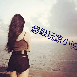 超级玩家小说 （挥戈回日）
