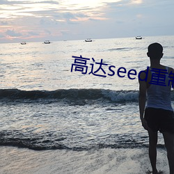 高达seed重制版