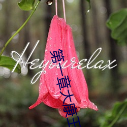 第(d)一章(zhāng)大(d)康(kāng)王朝金(jn)锋