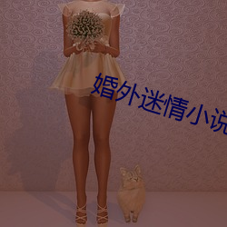 婚外迷情小说