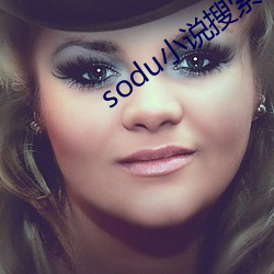 sodu小说搜索