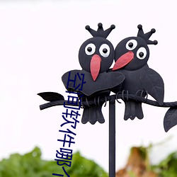 空间软件哪个好 （瑶草奇花）