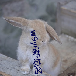 w9y6新域名 油脂）