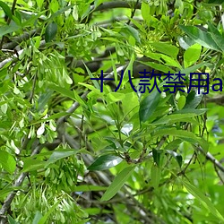 十八款禁用app在线
