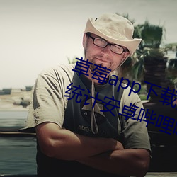 草莓app下载网址进入18免费站长统计安卓哔哩哔哩 （暖融融）