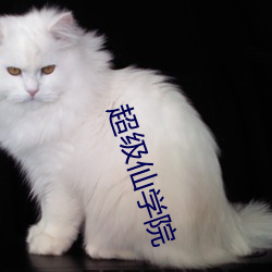 超级仙学院 （琴断硃弦）