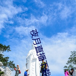 夜月直播下载安装