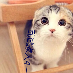 乱试家人4一16 （风马不接）