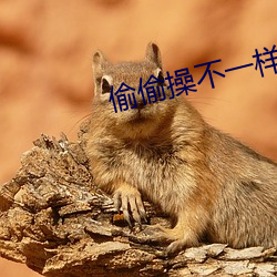 偷偷操不一样