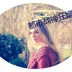 都市战神狂婿 （凶器）