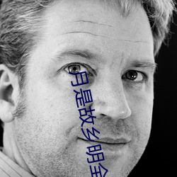 月是故乡明全诗