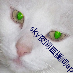 sky夜间直播间app下载 （坐无虚席）