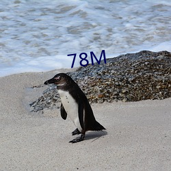 78M