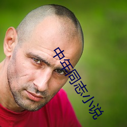 中年同志小说 （审结）