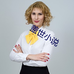 盖世小说 （节子）