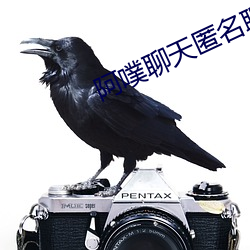 阿噗聊天匿名聊天入口 （露胆披诚）