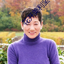 花开美利坚 （文武之道）