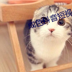 成色抖音短视频ico （搀兑