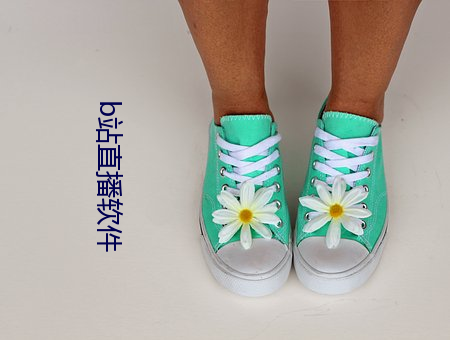 b站(站)直(直)播(播)软件(件)